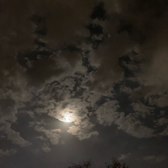 Meet your Posher, Megan - Picture 1 of 1